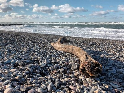 Apartment 6 person holiday home in Skagen-By Traum - Outdoor photo 12