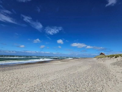 Apartment 6 person holiday home in Skagen-By Traum - Outdoor photo 13