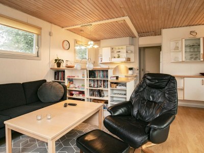 Holiday house 5 person holiday home in Thyholm-By Traum - Outdoor photo 19