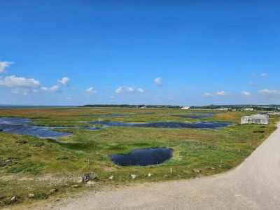 Holiday house 5 person holiday home in Thyholm-By Traum - Outdoor photo 31