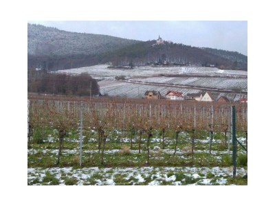 Apartment Appartment Riesling - Outdoor photo 67