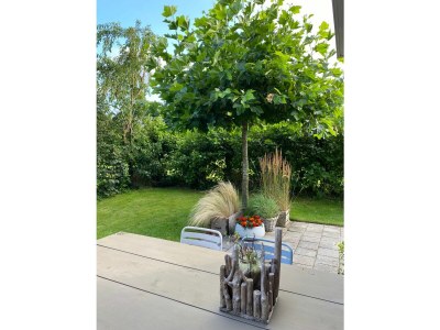 Holiday house de Zuidhoek 2 "De Krab" - Features photo 25