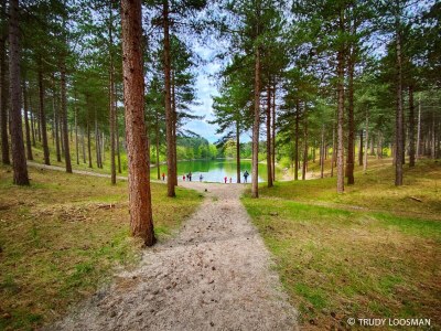 Holiday house de Zuidhoek 2 "De Krab" - Environment photo 40