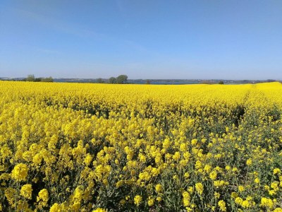 Holiday house 8 Personen Ferienhaus in Sydals-By Traum - Outdoor photo 13