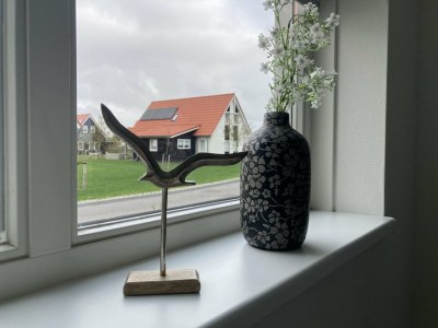 Holiday house House near Scherpenisse Beach with Garden - Outdoor photo 4