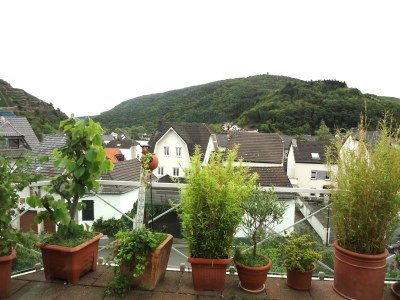 Holiday apartment "Pfarrwingert" Villa Näkel-Pfarrwingert - Outdoor photo 3