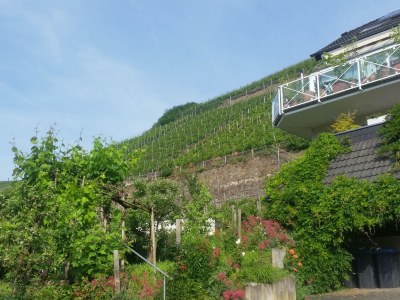 Holiday apartment "Pfarrwingert" Villa Näkel-Pfarrwingert - Outdoor photo 5