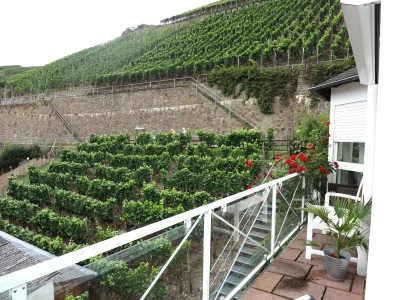 Holiday apartment "Pfarrwingert" Villa Näkel-Pfarrwingert - Outdoor photo 7