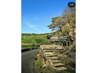 Holiday apartment "Pfarrwingert" Villa Näkel-Pfarrwingert - Outdoor photo 8