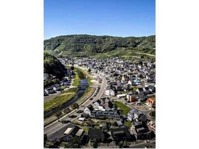 Holiday apartment "Pfarrwingert" Villa Näkel-Pfarrwingert - Outdoor photo 9