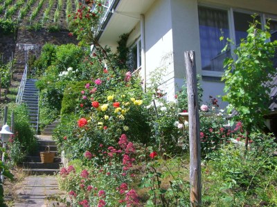 Holiday apartment "Pfarrwingert" Villa Näkel-Pfarrwingert - Environment photo 32