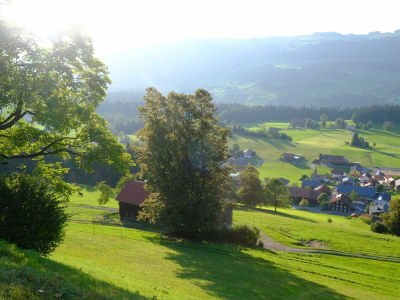 Holiday house Holiday Cabin Oberdorf - Outdoor photo 6