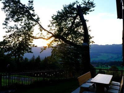 Holiday house Holiday Cabin Oberdorf - Outdoor photo 7