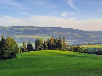 Holiday house Holiday Cabin Oberdorf - Environment photo 18