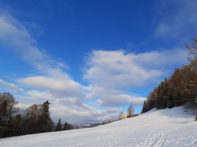 Holiday house Holiday Cabin Oberdorf - Environment photo 23