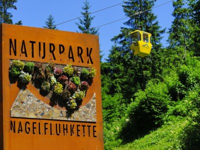 Holiday house Holiday Cabin Oberdorf - Environment photo 25