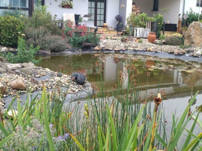 Apartment Appartement/Fewo, Dusche oder Bad, WC, 2 Schlafräu - Outdoor photo 10