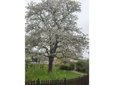 Apartment Appartement/Fewo, Dusche oder Bad, WC, 2 Schlafräu - Outdoor photo 12