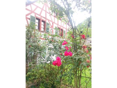 Apartment 2-Bettwohnung - Outdoor photo 7