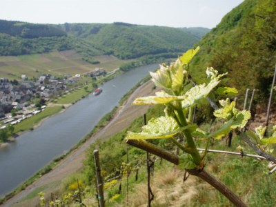 Apartment Ferienwohnung Feuerberg ohne Galerie - Features photo 18