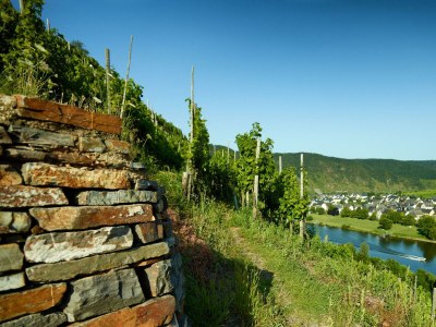 Apartment Ferienwohnung Feuerberg ohne Galerie - Features photo 20