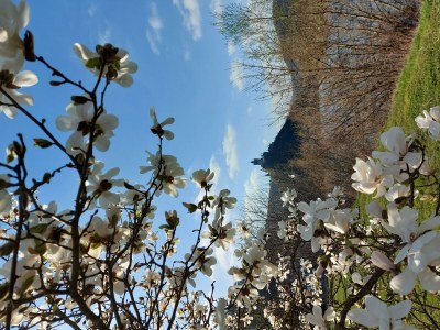 Apartment Dachgeschoß-Appartement/Fewo, Dusche, WC - Outdoor photo 6