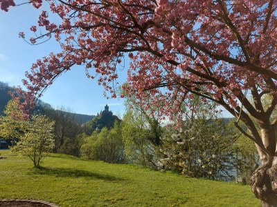 Apartment Dachgeschoß-Appartement/Fewo, Dusche, WC - Outdoor photo 8
