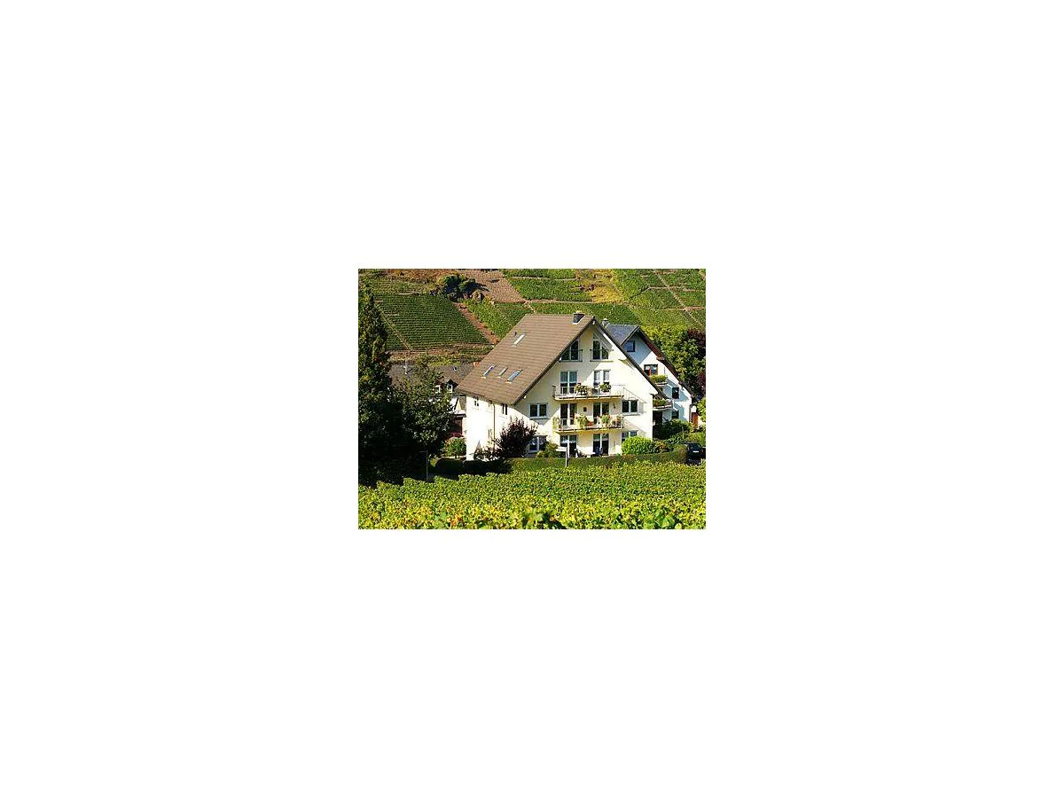 Apartment Ferienwohnung Moseltal
