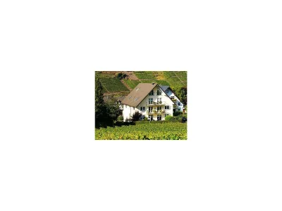 Apartment Ferienwohnung Moseltal in Ernst - Apartment