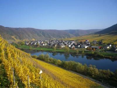 Apartment Ferienwohnung Moseltal - Outdoor photo 6