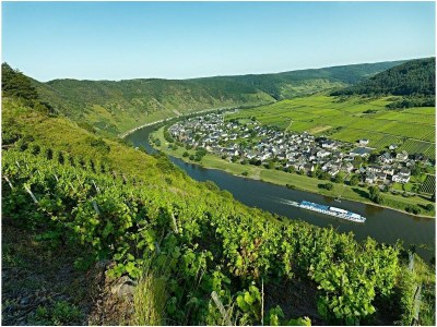 Apartment Ferienwohnung Panorama mit Galerie - Features photo 12