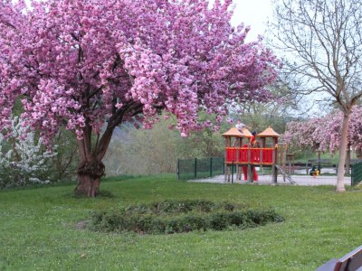 Apartment Ferienhaus "Emil", Dusche,WC - Outdoor photo 19