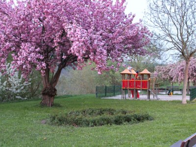 Apartment Ferienhaus "Emil", Dusche,WC - Features photo 39