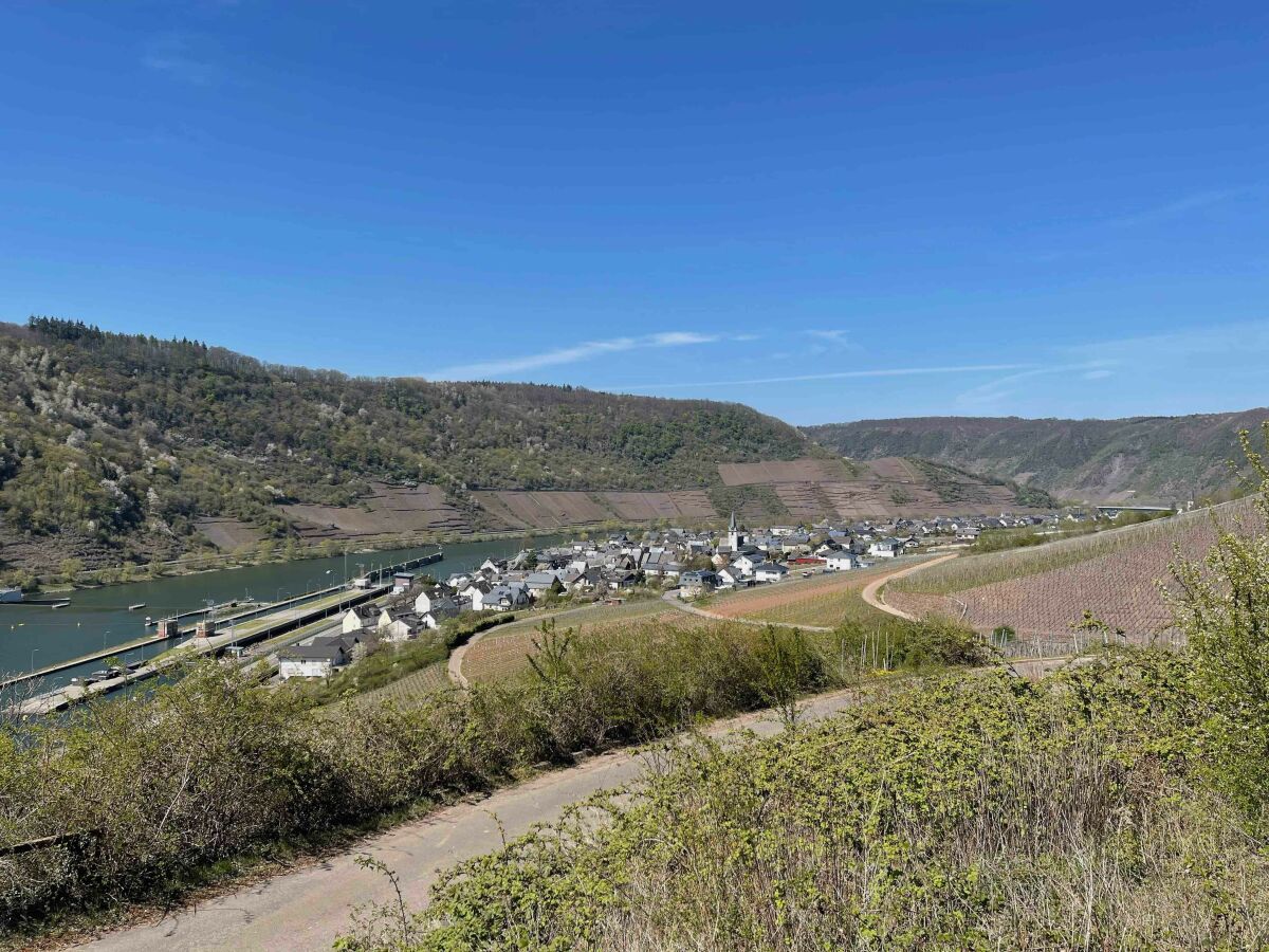 Apartment 2-Bettwohnung "Weinberg" - Outdoor photo 5