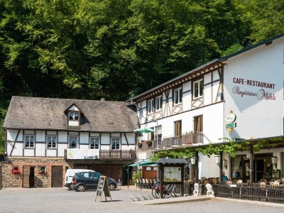 Apartment Ferienhäuschen in Moselkern - Apartment