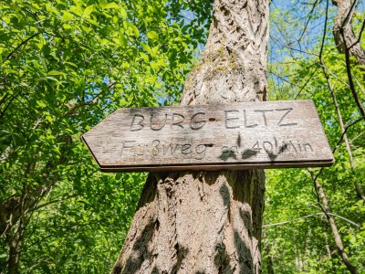 Apartment Ferienhäuschen - Outdoor photo 15