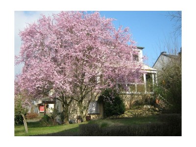 Apartment 2-Bettwohnung - Outdoor photo 12