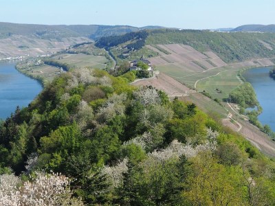Apartment 2-Bettwohnung - Outdoor photo 16