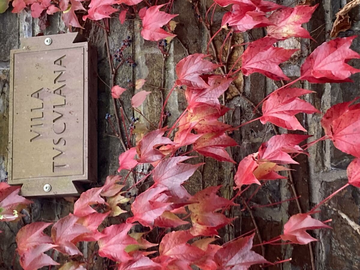 Apartment Ferienhaus, Dusche und Bad, WC, 4 oder mehr Schlaf - Outdoor photo 3