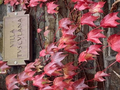 Apartment Ferienhaus, Dusche und Bad, WC, 4 oder mehr Schlaf - Outdoor photo 3