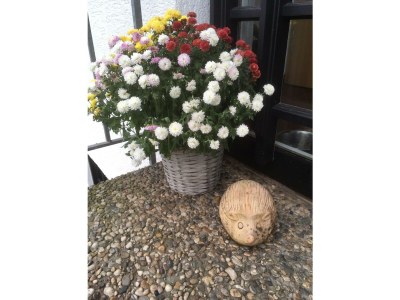 Apartment 2-Bettwohnung Avallon - Features photo 19