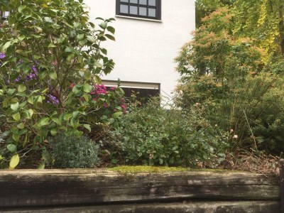 Apartment 2-Bettwohnung Avallon - Features photo 24