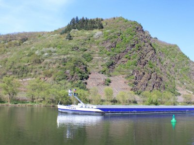 Apartment Ferienwohnung 1 - Outdoor photo 12