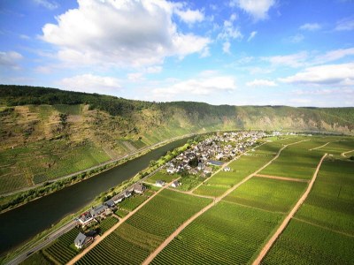 Apartment Ferienwohnung 1 - Outdoor photo 16