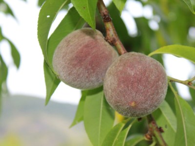 Apartment Ferienwohnung 2 - Outdoor photo 6