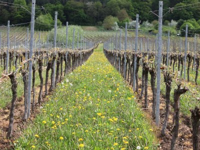 Apartment Ferienwohnung 2 - Outdoor photo 20