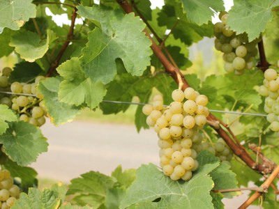 Apartment Ferienwohnung 2 - Outdoor photo 21