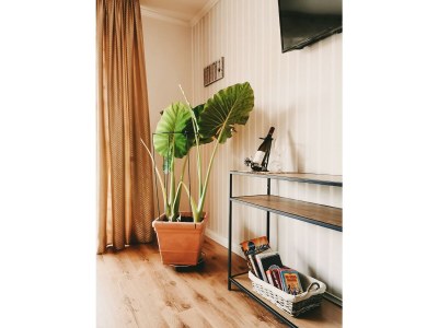 Apartment 6-Bettwohnung - Features photo 20