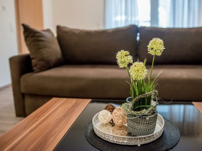 Apartment 2 Bettwohnung Finn - Features photo 9