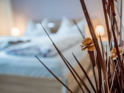 Apartment 2 Bettwohnung Finn - Features photo 18